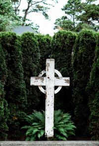 Photo by Josh Applegate on Unsplash