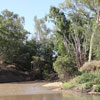 Peace, Ecology and Justice