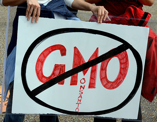 Image: 2013 March Against Monsanto by Stephen Melkisethian. Creative Commons licence.