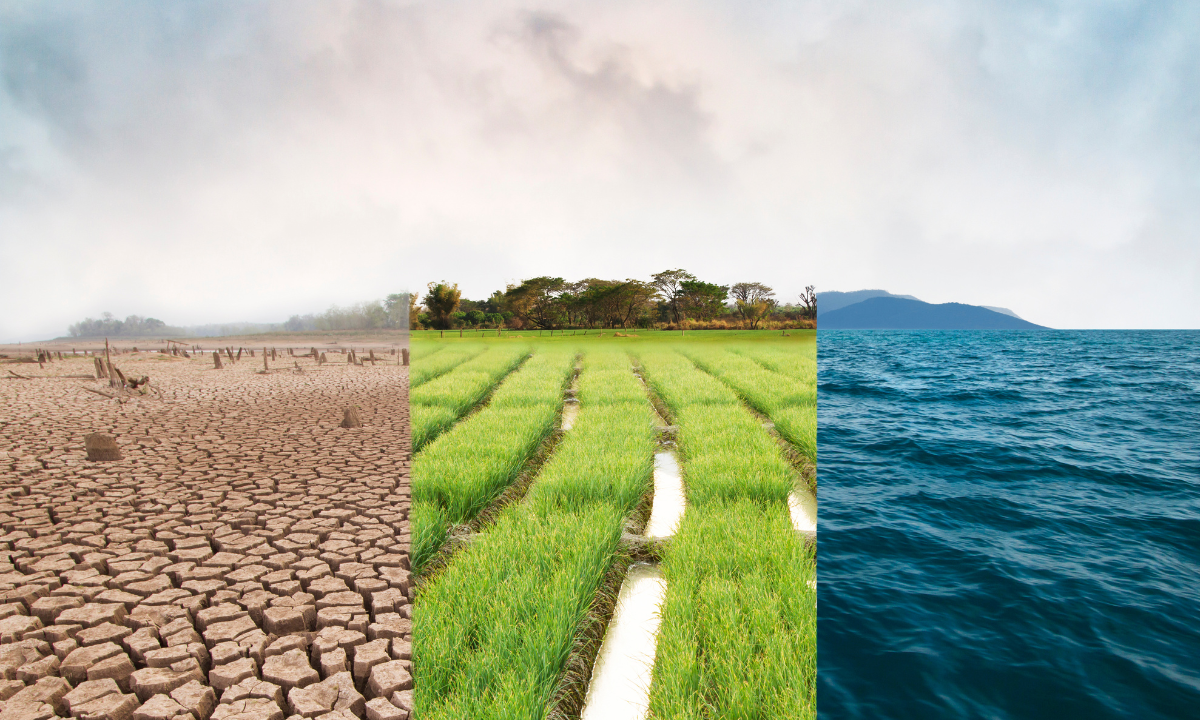 Young people are sounding out their fears about climate change and stating not enough is being done about it.  - Photo:canva.com