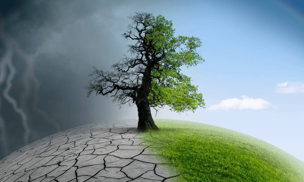Commitments to limit global warming within this decade are crucial to a liveable future. - Photo:canva.com