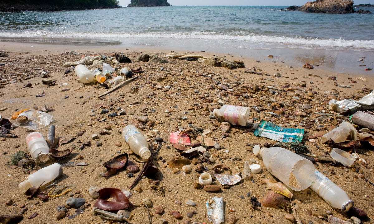 it is important to listen and take heed of what is happening to our oceans - Photo:canva.com