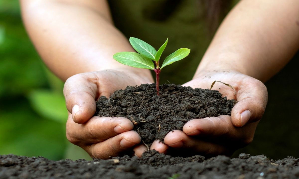 World Environment Day - June 5 - Photo:canva.com