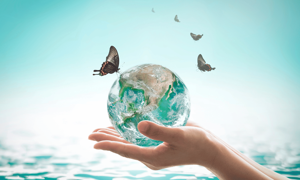 Care for Creation