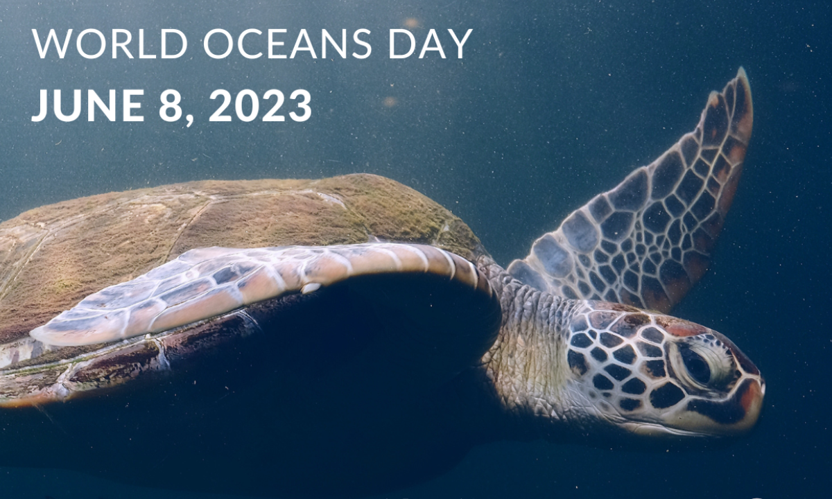 World Oceans Day - June 8, 2023 - Photo:canva.com