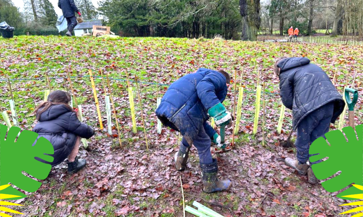 Rewilding habitats encourages wildlife to thrive at Solihull (PC: Ellen Teague) 