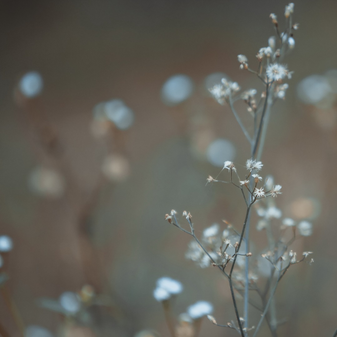 A humble heart - Photo:canva.com