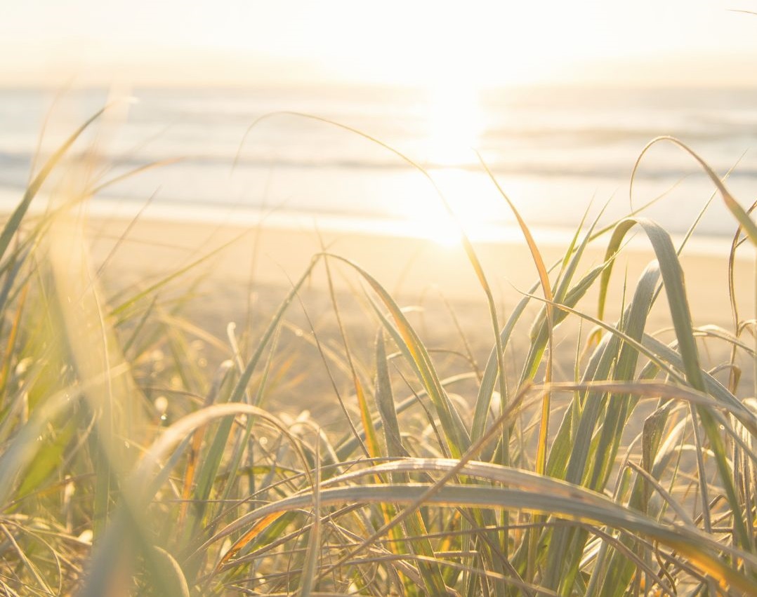 Good morning my lord - Photo:canva.com