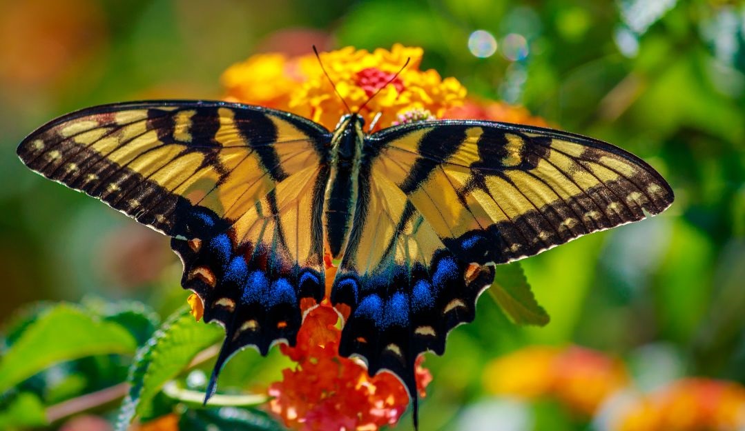 Your creation - Photo:canva.com