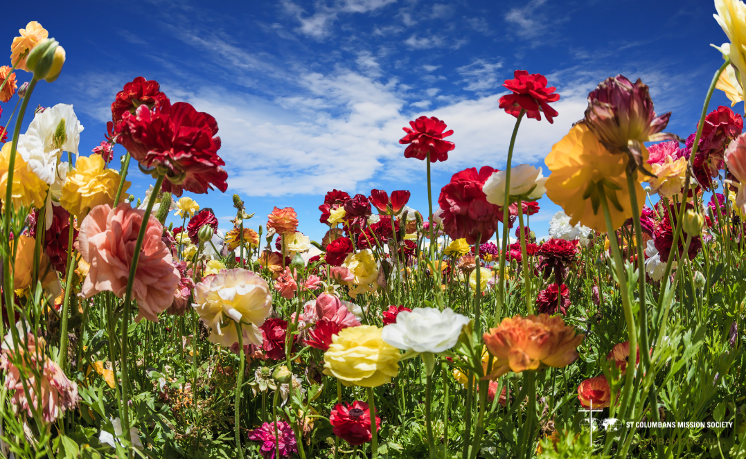 This will only be a wonderful day because of Your blessings and favor upon us. - Photo: canva.com