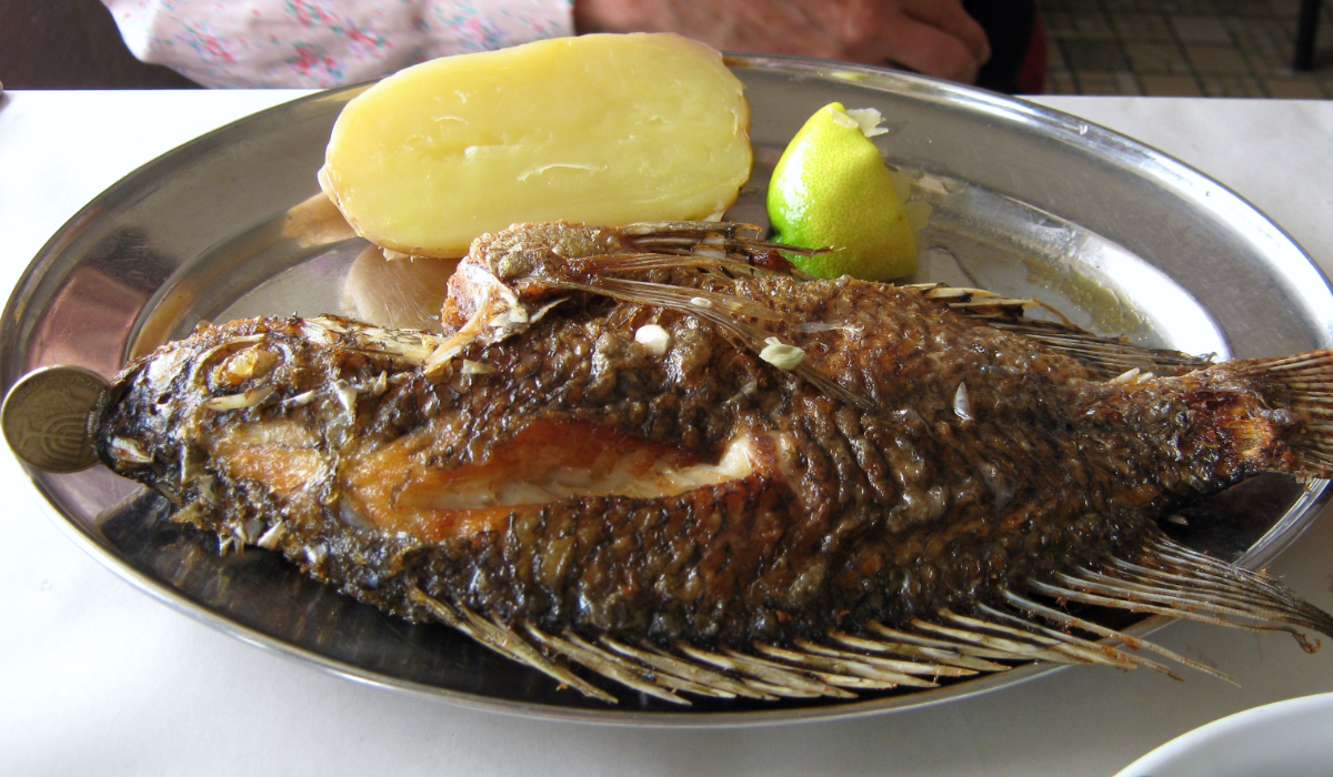 St. Peter's Fish dish from the menu. Photo: Columban Fr Colin McLean