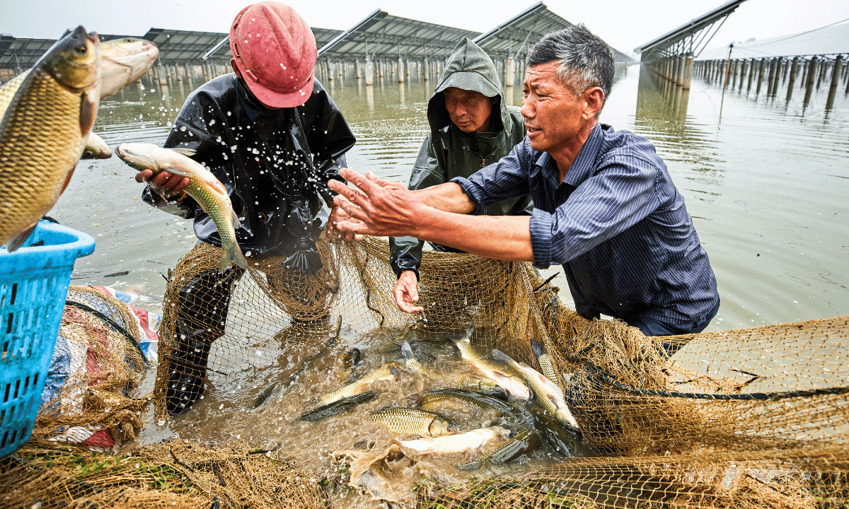 The fisheries cooperative in Fukushima is against the discharge of waste into the ocean.