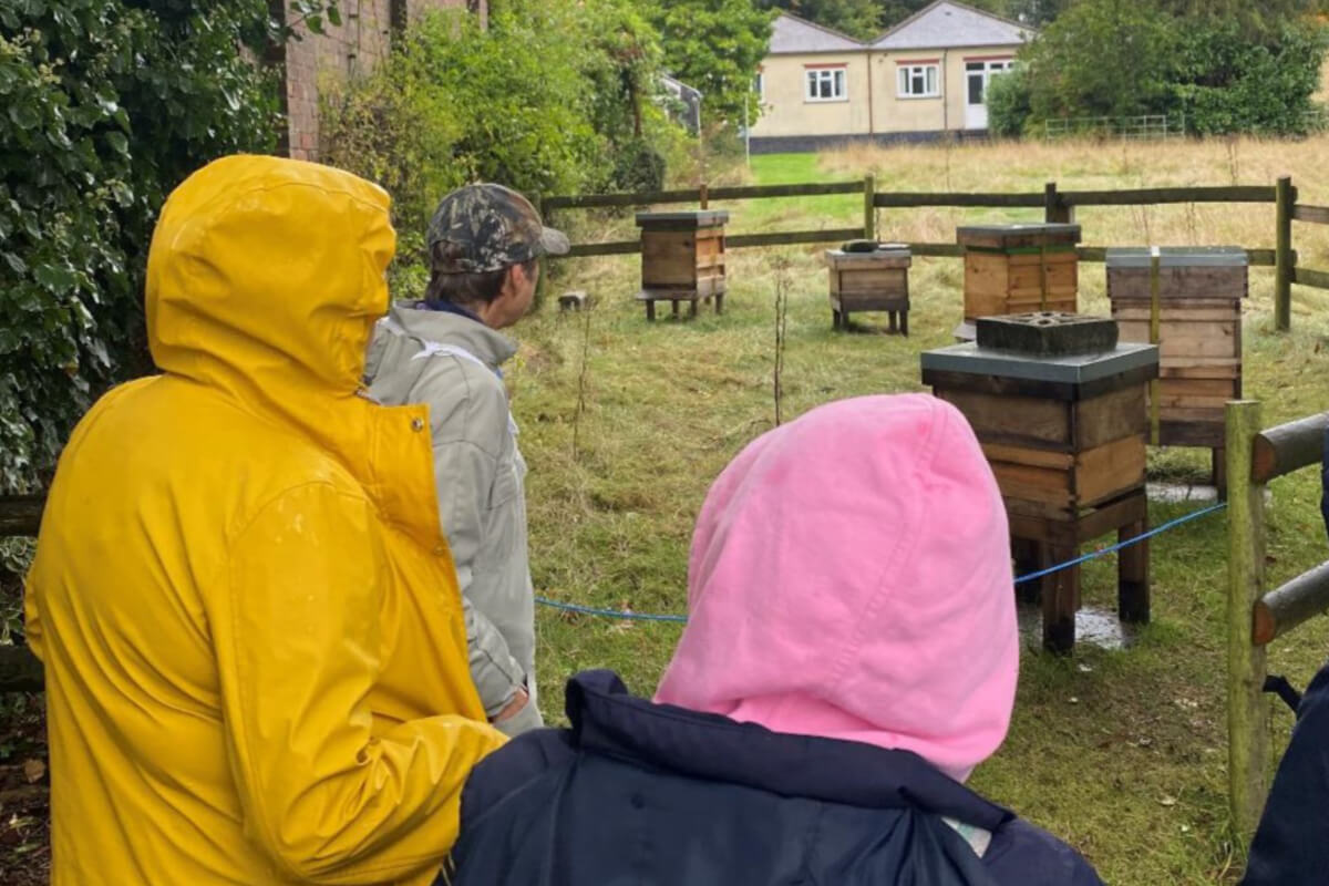 Honey bee farming at Soulihull