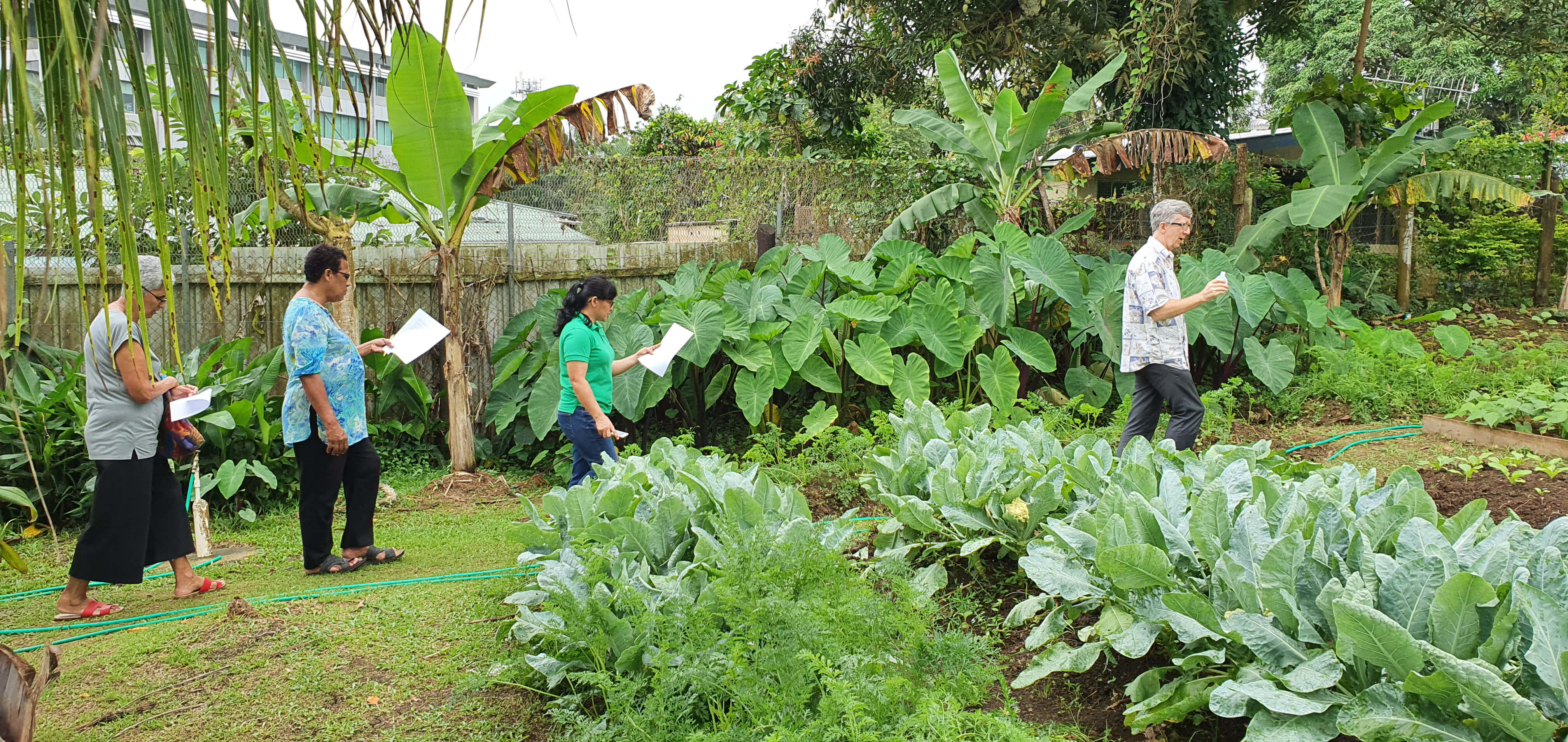 Columban Fr. Patrick O’Beirne leads a processional prayer for God’s creation through the Columban vegetable garden in Suva, Fiji . Photo: St Columbans Mission Society