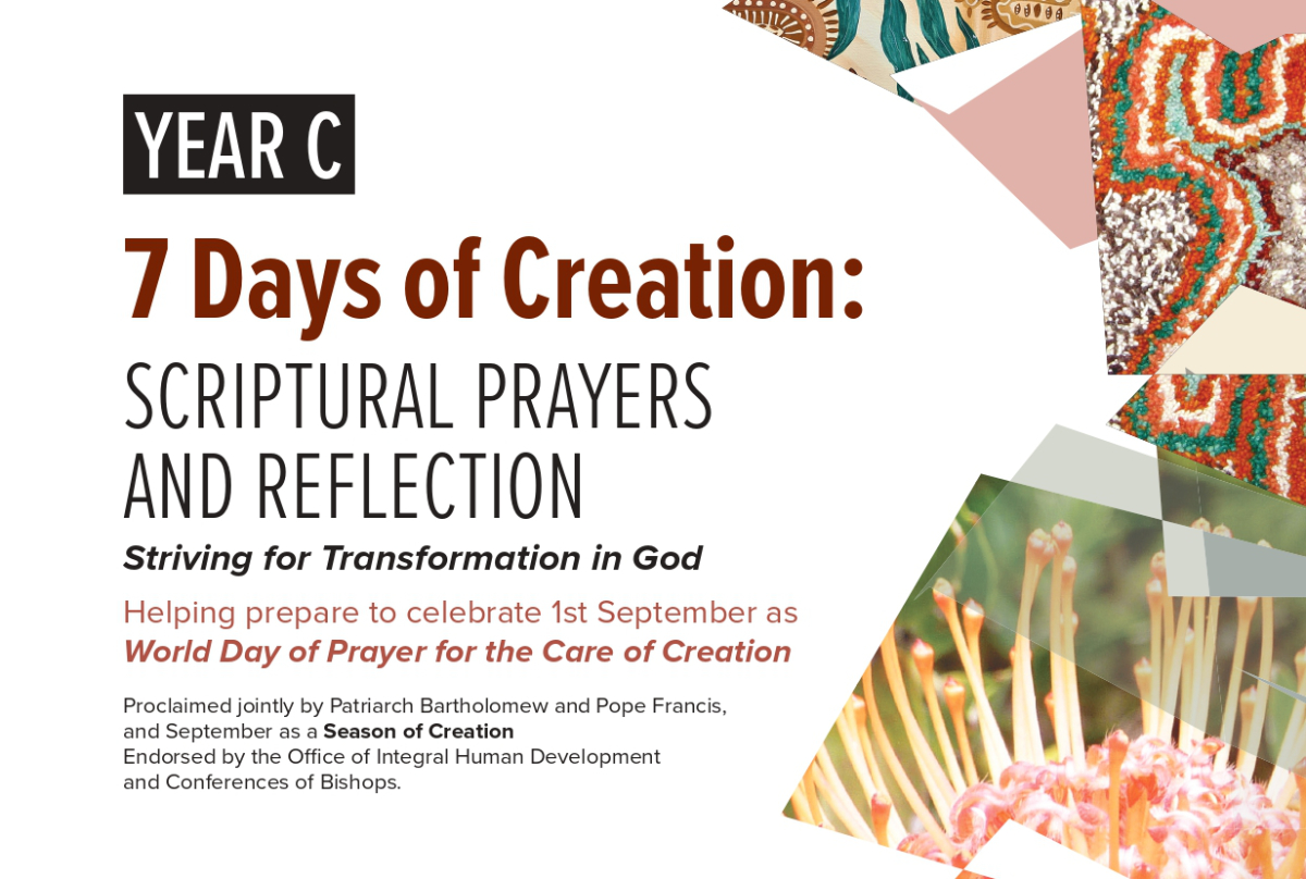 7 days of creation reflection year c cover