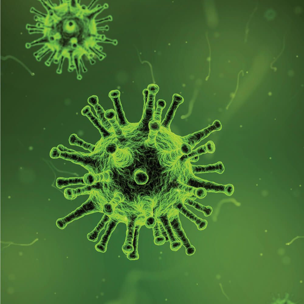 Corona Virus Photo: canva.com