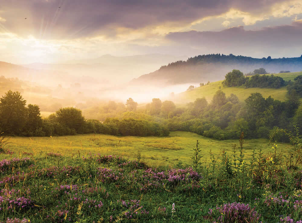 Photo: bigstockphoto.com/pellinni