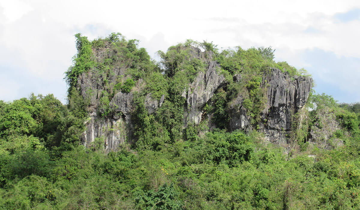Landscape of Sierra Madre, Philippines. Photo: FBenjr123 (https://commons.wikimedia.org/wiki/File:Sierra_Madre_San_Ildefono_Bulacan_03.jpg), https://creativecommons.org/licenses/by-sa/4.0/legalcode