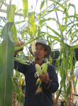 Connecting Food and Faith
