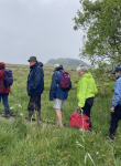 Making space for nature