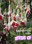 Laudato Si’ Week - Seeds of Hope