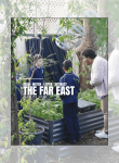 The Far East - August 2026