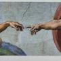 What peace with creation is